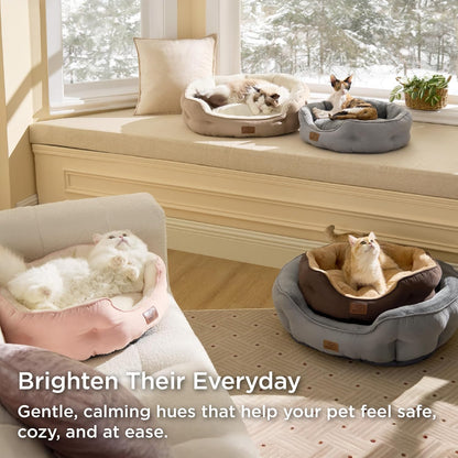 Modern Cat bed 